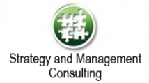Strategy & Mgmt. Consulting